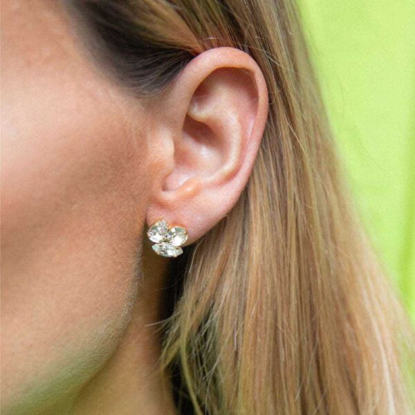 Δεύτερη φωτογραφία του προϊόντος Ana Earrings / Crystal