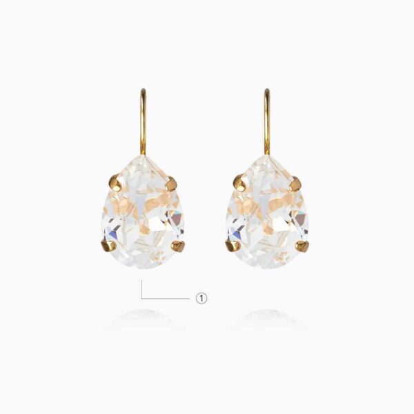 Mini Drop Clasp Earrings / Any Color